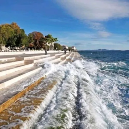 Brand New Olivia 30m From The Sea With Heated Pool And Jacuzzi * Zaton (Zadar)